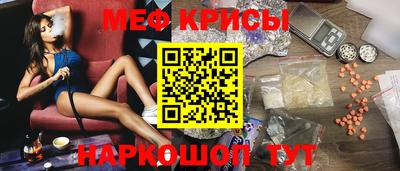 индика Кингисепп