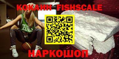 индика Кингисепп