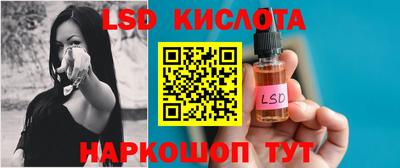 индика Кингисепп