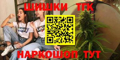 индика Кингисепп