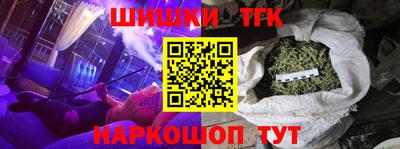 индика Кингисепп