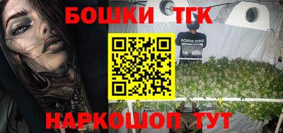 индика Кингисепп