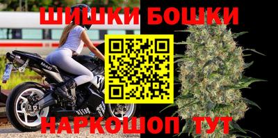 индика Кингисепп