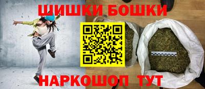индика Кингисепп