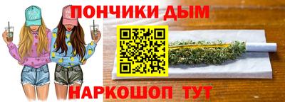 индика Кингисепп