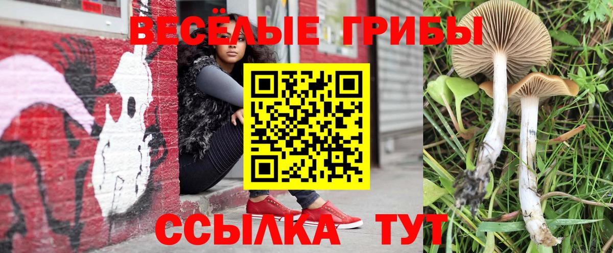 Галлюциногенные грибы Psilocybine cubensis Лосино-Петровский