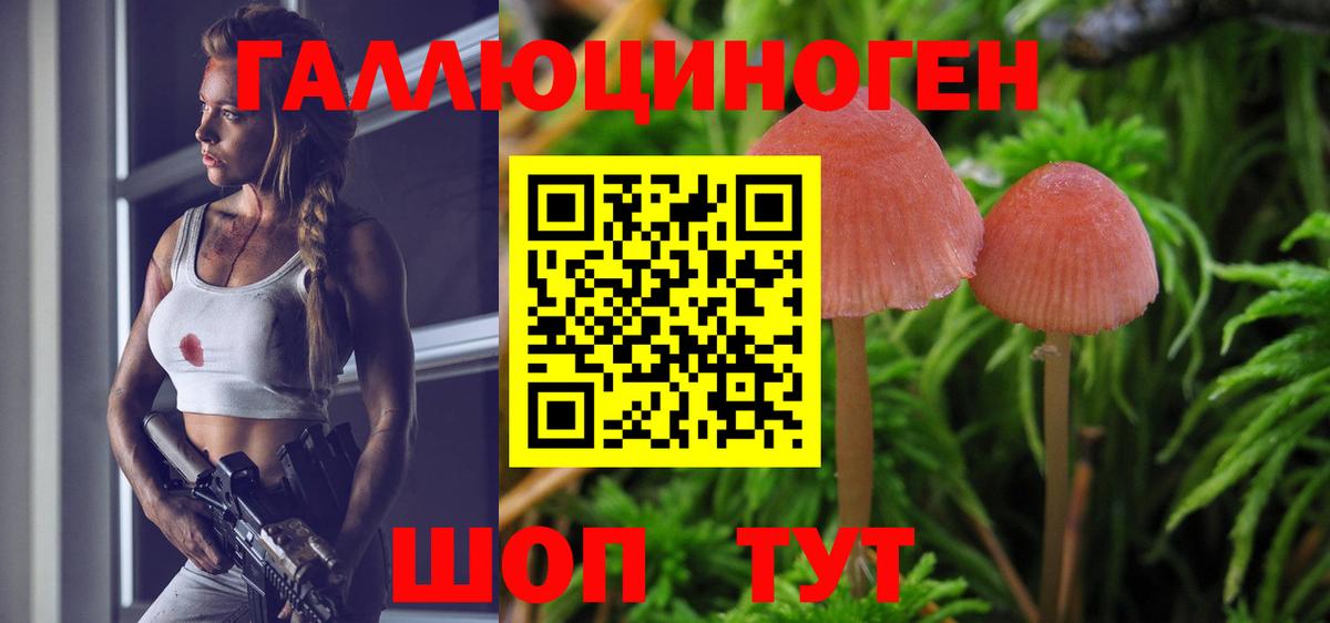 Лосино-Петровский  Галлюциногенные грибы MAGIC MUSHROOMS  Вход с VPN 